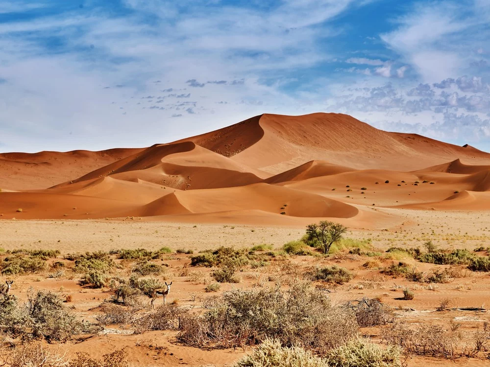 le-desert-namib-dunes-orange